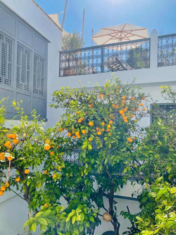 Riad Magie Boutique Hotel Μαρακές Εξωτερικό φωτογραφία